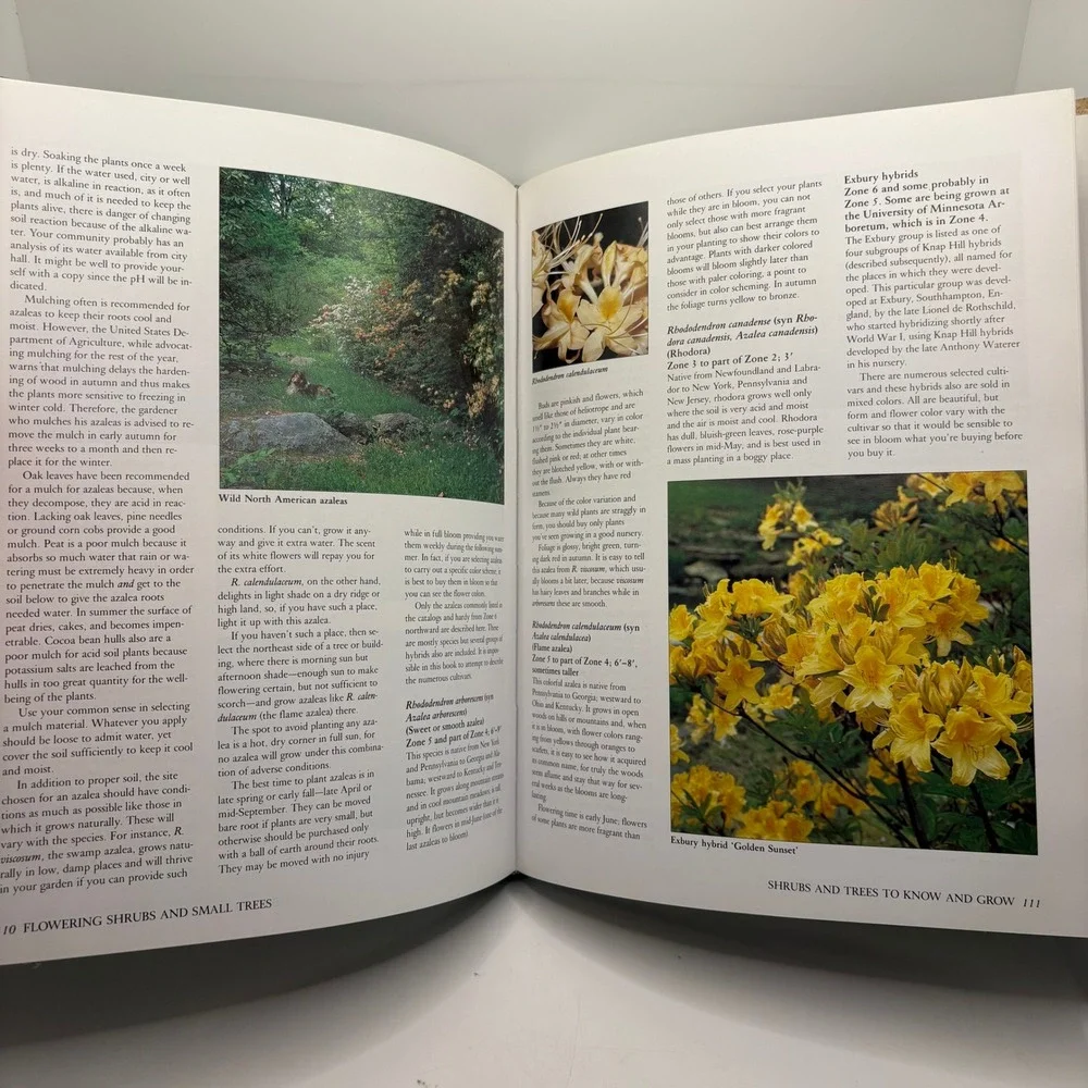 Flowering Shrubs & Small Trees‎ Gardening Guide Isabel Zucker Landscaping